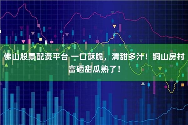 佛山股票配资平台 一口酥脆，清甜多汁！铜山房村富硒甜瓜熟了！