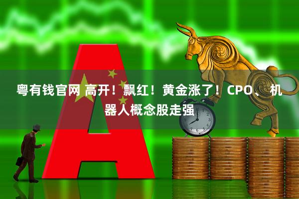 粤有钱官网 高开！飘红！黄金涨了！CPO、 机器人概念股走强